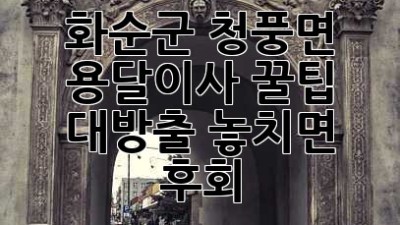 🚚💨 화순군 청풍면 용달이사, 꿀팁 대방출! 놓치면 후회! 🍯