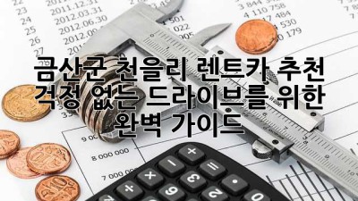 금산군 천을리 렌트카 추천: 걱정 없는 드라이브를 위한 완벽 가이드